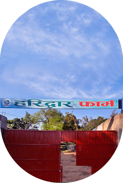 HaridwarFarms
