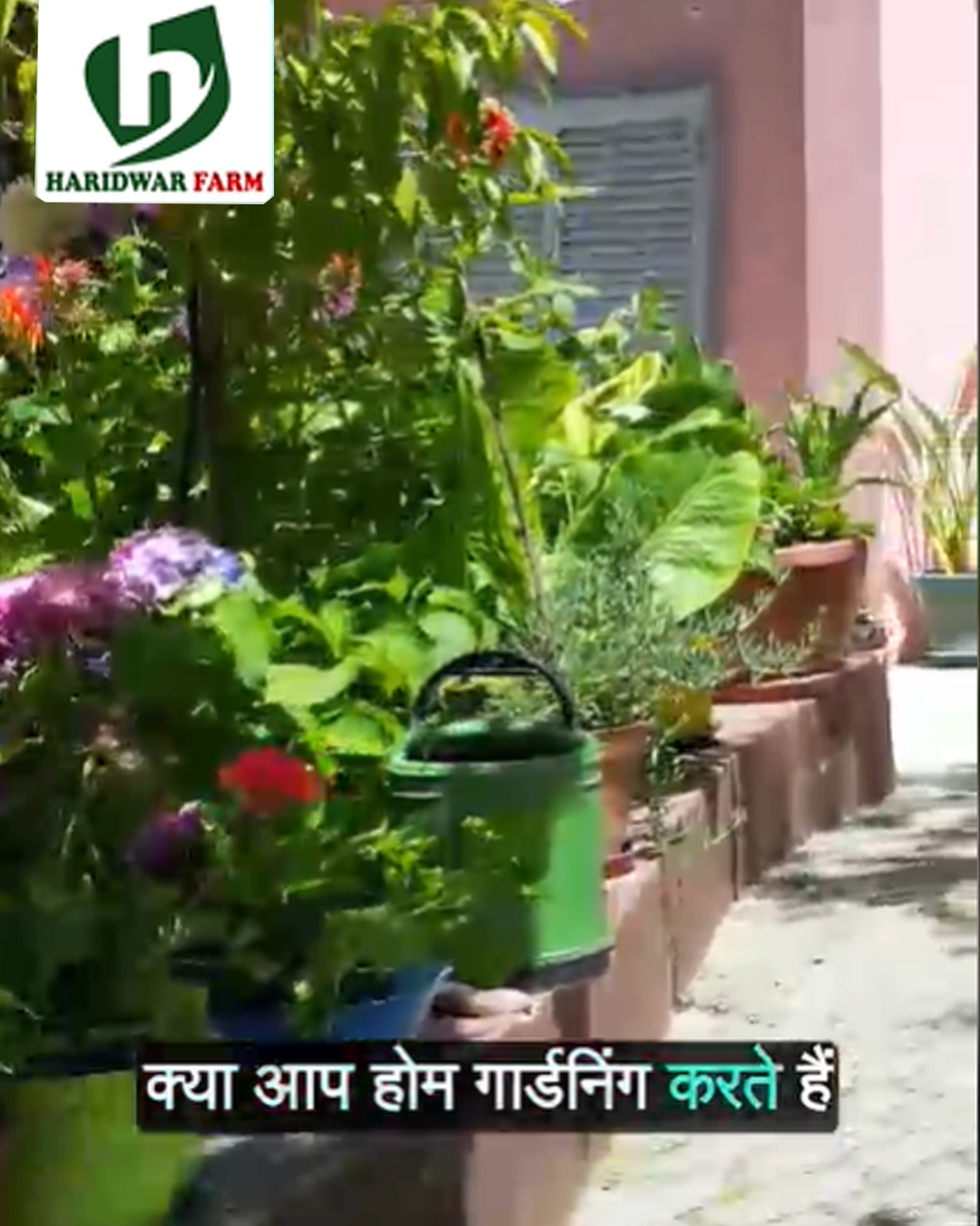 haridwarfarms