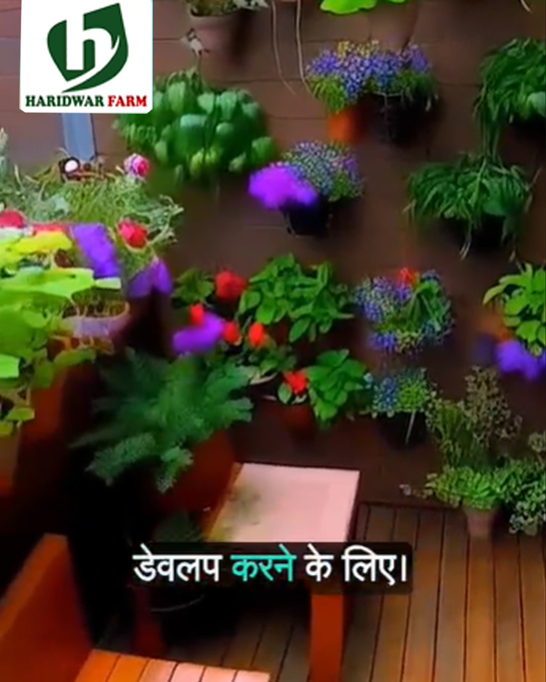 haridwarfarms